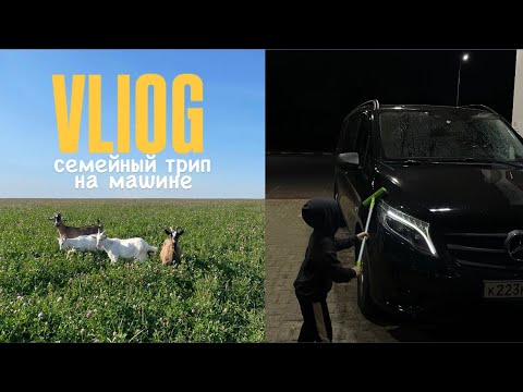 Видео: влог: путешествие на машине