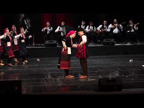 Видео: Фолклорен Ансамбл Седенка - Малешевка / Folkloren Ansambl Sedenka -  Malesevka