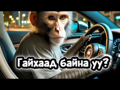 Видео: ХҮН ШИГ УХААНТАЙ АМЬТАД