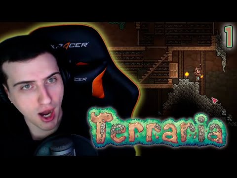 Видео: МАСТЕР МОД В ПЕРВЫЙ РАЗ ► HELLYEAHPLAY ИГРАЕТ В TERRARIA #1