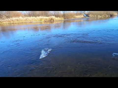 Видео: Река Сылва, река Вагулка, Шамары