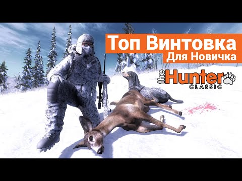 Видео: Почему .300 - Лучшая Винтовка для новичка ? - theHunter: Classic