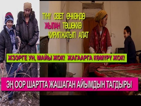 Видео: ҮЙДӨ ЖЫЛАНДАР МЕНЕН ЖАШАП, БАЛАСЫН КОРУП ЖАТКАН АЙЫМДЫН ООР ЖАШООСУ