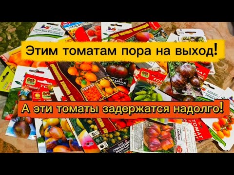 Видео: Про сорта томатов,которые решила не выращивать🙁 Томаты,которые удивили👍 И те,которые навсегда🤗