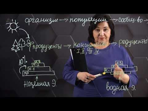 Видео: Компоненты экосистемы. Водные и наземные экосистемы. 8 класс.