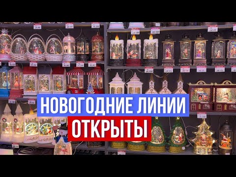 Видео: НОВОГОДНИЕ ЛИНИИ УЖЕ ОТКРЫТЫ 🎄ОБЗОР 32 и 33 ЛИНИИ 🎁 САДОВОД #садовод #рыноксадовод