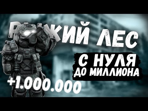 Видео: С 0 до 1.000.000 БЕЗ ЗАКУПОВ В РЫЖЕМ ЛЕСУ В Stalcraft #stalcraftexbo