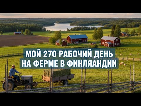Видео: Справлюсь ли я? Первая сварка + перегон коров Ферма в Финляндии