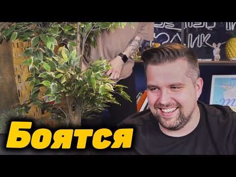 Видео: Юлик и Антон боятся Желтомордого