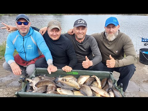 Видео: 60 кг., карася за 6 годин ловлі на фідер. Стільки карасів я ще не ловив  07.04.2024 День Карася.