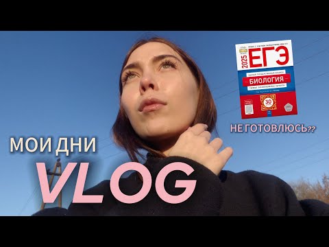 Видео: ВЛОГ// МОИ ДНИ// НЕ ГОТОВЛЮСЬ К ЕГЭ?😳