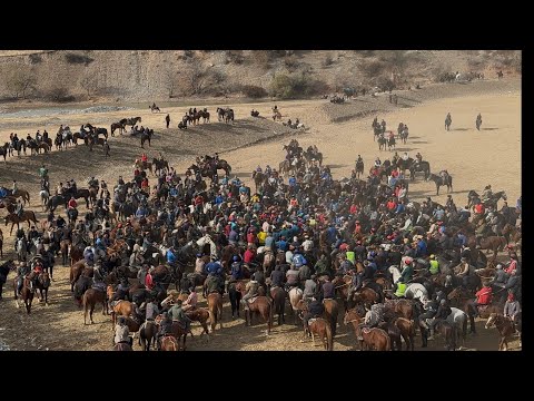 Видео: Майсал аканин улагы экинчи бол угу
