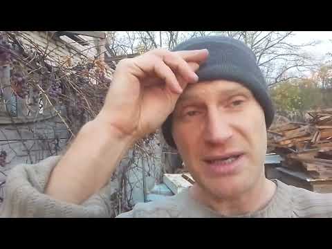 Видео: Обробка бджіл від кліща амітразом ( Тестова )