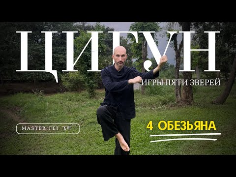 Видео: ОБЕЗЬЯНА - ЦИГУН - ИГРЫ ПЯТИ ЗВЕРЕЙ