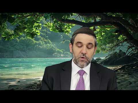 Видео: Неумышленно нанёс ущерб другу - Unintentionally caused harm, Rabbi Avraham Tabibov