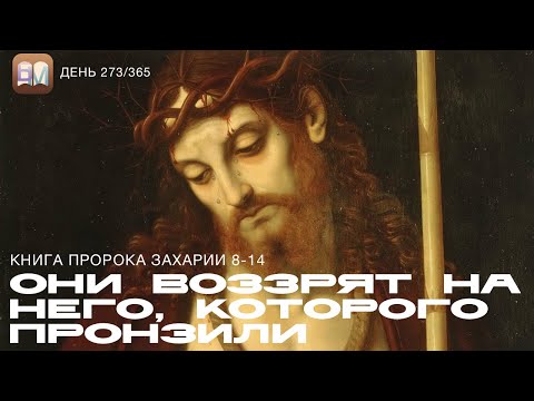 Видео: 273. Они воззрят на Него, Которого пронзили (Зах.8-14) [День 273/365] | Библейский Марафон 2025