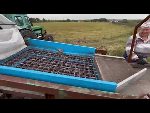 Видео: уборка и сортировка картофеля 2023г.