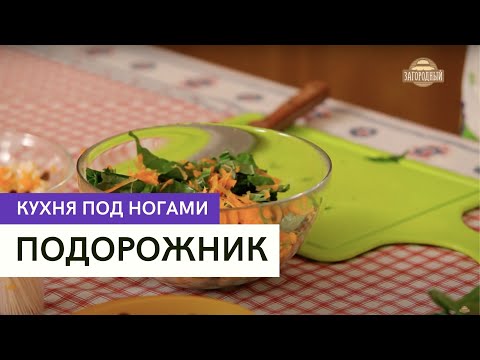 Видео: Подорожник \ Кухня под ногами