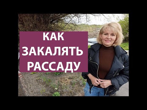 Видео: Как закалять рассаду томатов.  Как правильно закалять рассаду перца