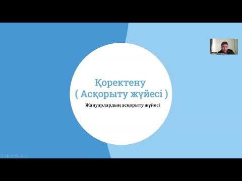 Видео: Асқорыту жүйесі 1 бөлім /Нағыз ҰБТ /Тоқтаров Ұлықбек / Биология