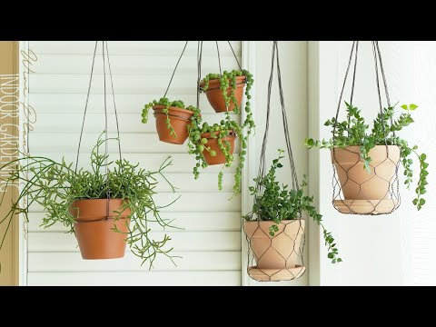 Видео: Проволочные вешалки для подвесных кашпо, подвесных растений, надземных растений