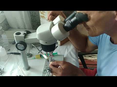 Видео: Искусственное осеменение пчелиных маток.   Сегодня на пасеке