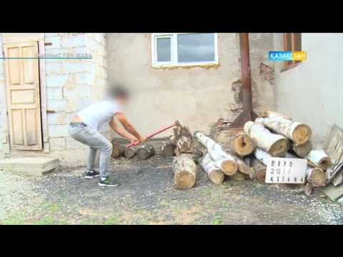 Видео: Қылмыс пен жаза - Тіркеуде жоқ тұрғындар