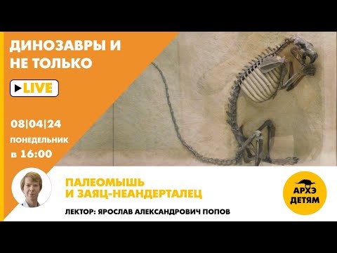 Видео: Занятие "Палеомышь и заяц-неандерталец" кружка "Динозавры и не только" с Ярославом Поповым