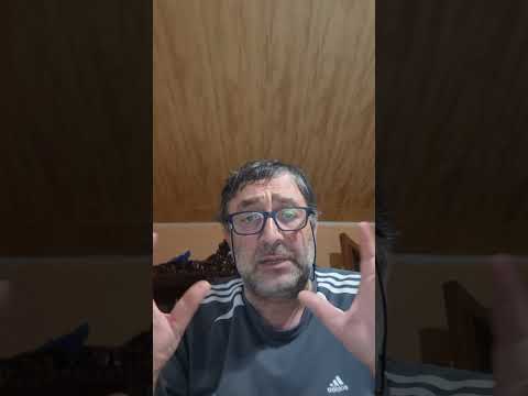 Видео: Итак, каждый из нас за себя даст отчёт Богу. Римлянам 14:12  #208