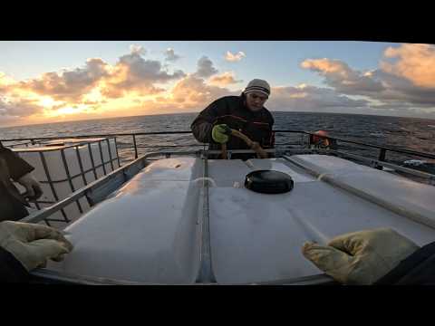 Видео: Как выглядит настоящий морской день? Морская романтика и виды. Встречаем рассвет в море !