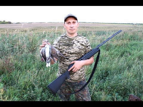 Видео: ОХОТА НА ГОРЛИЦУ 22 08 2018