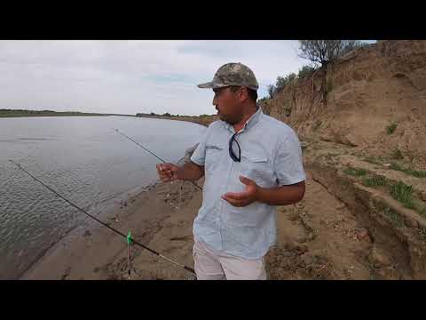 Видео: Лучшая снасть для сазана