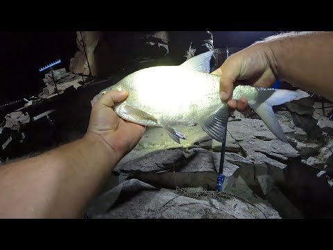 Видео: Капчагай ночная рыбалка