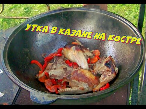 Видео: УТКА В КАЗАНЕ НА КОСТРЕ С ОВОЩАМИ.ENG SUB.