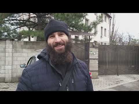 Видео: Коты. Преддверие Рождества. Необычная обычная история.
