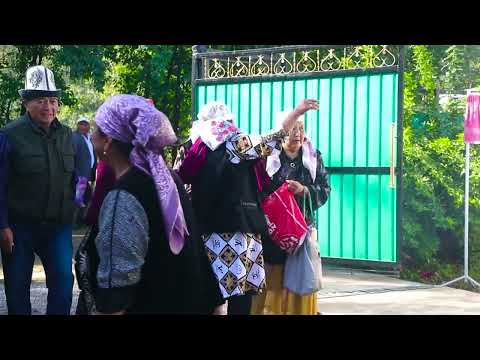 Видео: Той 3-болум