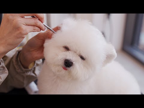 Видео: Это один из способов заснуть.