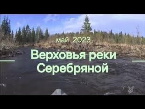 Видео: Ч.3 Верховья реки Серебряной.