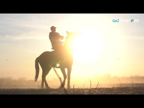 Видео: «СӘЙГҮЛІК СЫНЫ». Бойтұмар