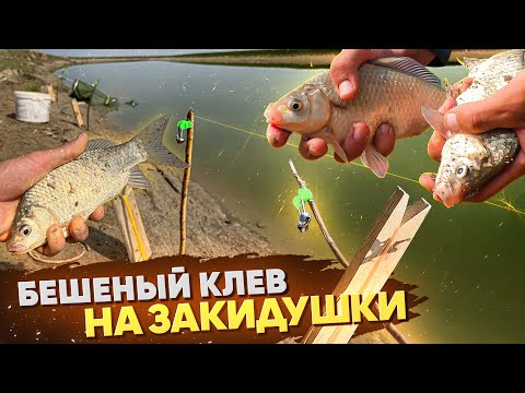 Видео: ТАКОГО клёва на ЗАКИДУШКИ Я НЕ ОЖИДАЛ! Карась прёт! Рыбалка 2023.