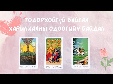 Видео: [ТАРОТ] 💭Тодорхойгүй байгаа харилцааны одоогийн байдал