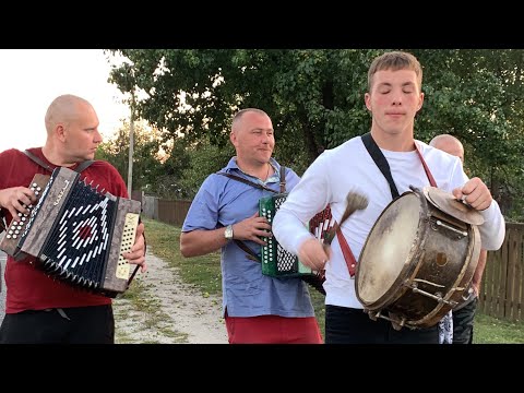 Видео: Частушки под гармонь 🔥 #гармонист #гармоньвидео #гомель #деревня