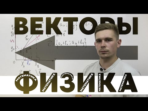 Видео: Математика в физике. Векторы