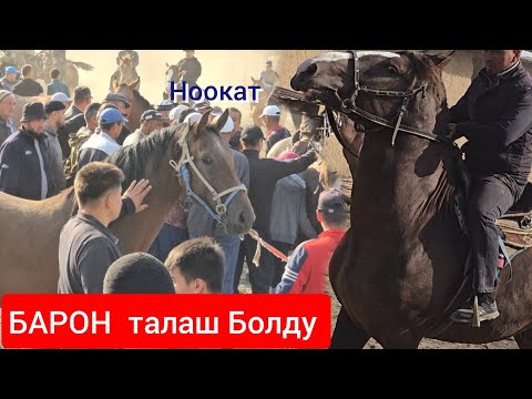 Видео: НООКАТ ЖЫЛКЫ БАЗАРДА  БАРОН  Соода болду 