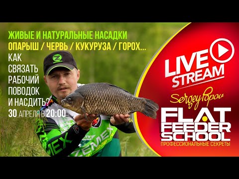 Видео: Натуральные насадки, кукуруза и опарыш / Как связать поводок? / #15 Лекция / FLAT FEEDER SCHOOL