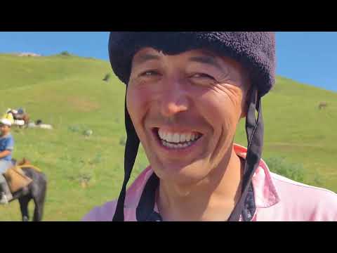 Видео: Саз жайлоосу Омурдун улагы 20 июня 2024 г.