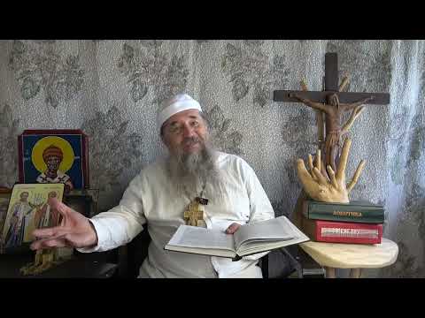 Видео: Учение Преподобного серафима Саровского о стяжание Духа Святаго 1 чтение