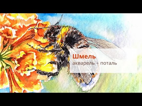 Видео: Урок рисования "Шмель" акварель + поталь