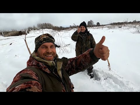 Видео: Весенняя охота на Гуся 2025 I СУПЕР НАЛЁТЫ / ГУСЬ ПОПЁР I Норму в день выполнили