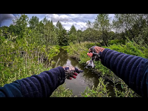 Видео: ЩУКА СОЖРАЛА МОЮ РЫБУ на КРЮЧКЕ 😱 / РЫБАЛКА на КРАСИВОМ РУЧЬЕ со СПИННИНГОМ